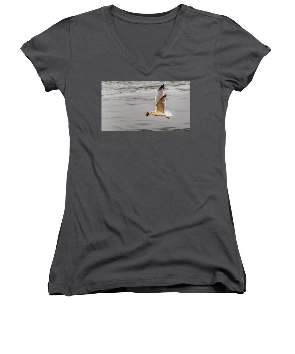 Animal Women's V-Neck featuring the photograph Crab with Seagull in flight by SAURAVphoto Online Store