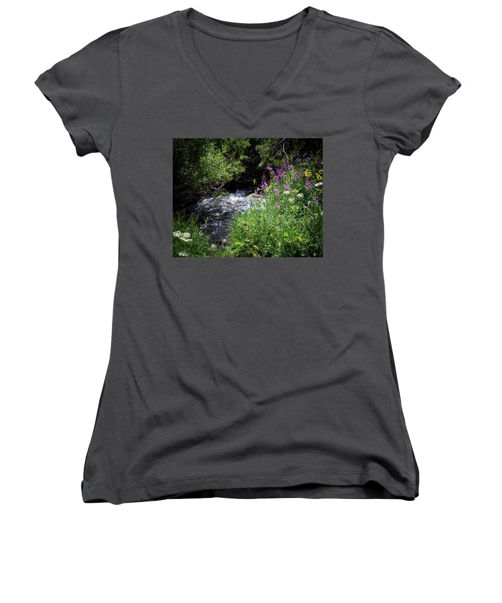 Wildflowers Women's V-Neck featuring the photograph Creekside Wildflowers by Elaine Webster