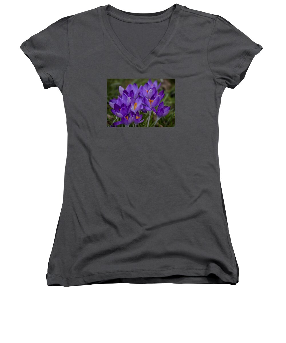Floral Women's V-Neck featuring the photograph Crocus Cluster by Shirley Mitchell