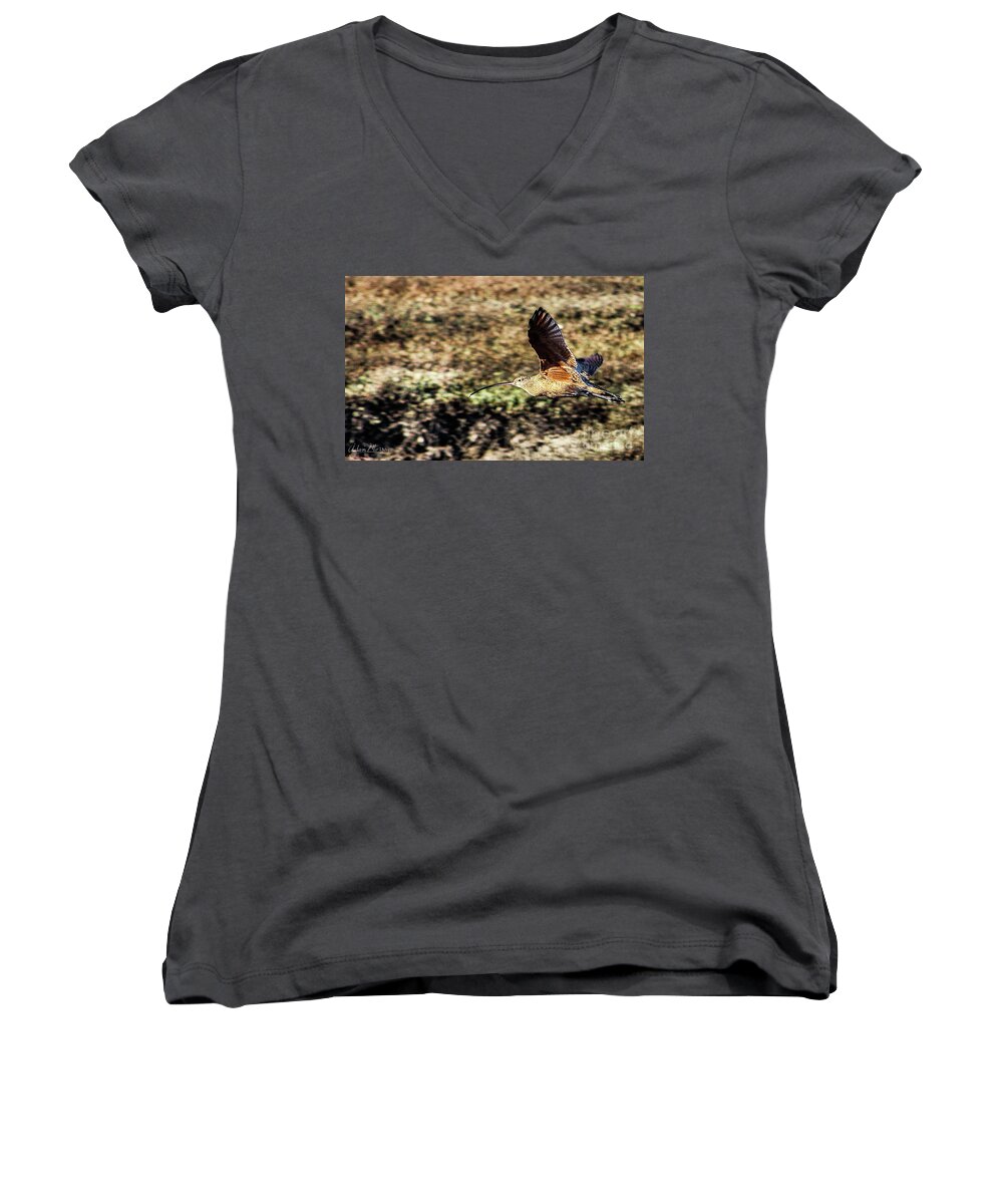 Bird Women's V-Neck featuring the photograph Curlew in Flight by Adam Morsa