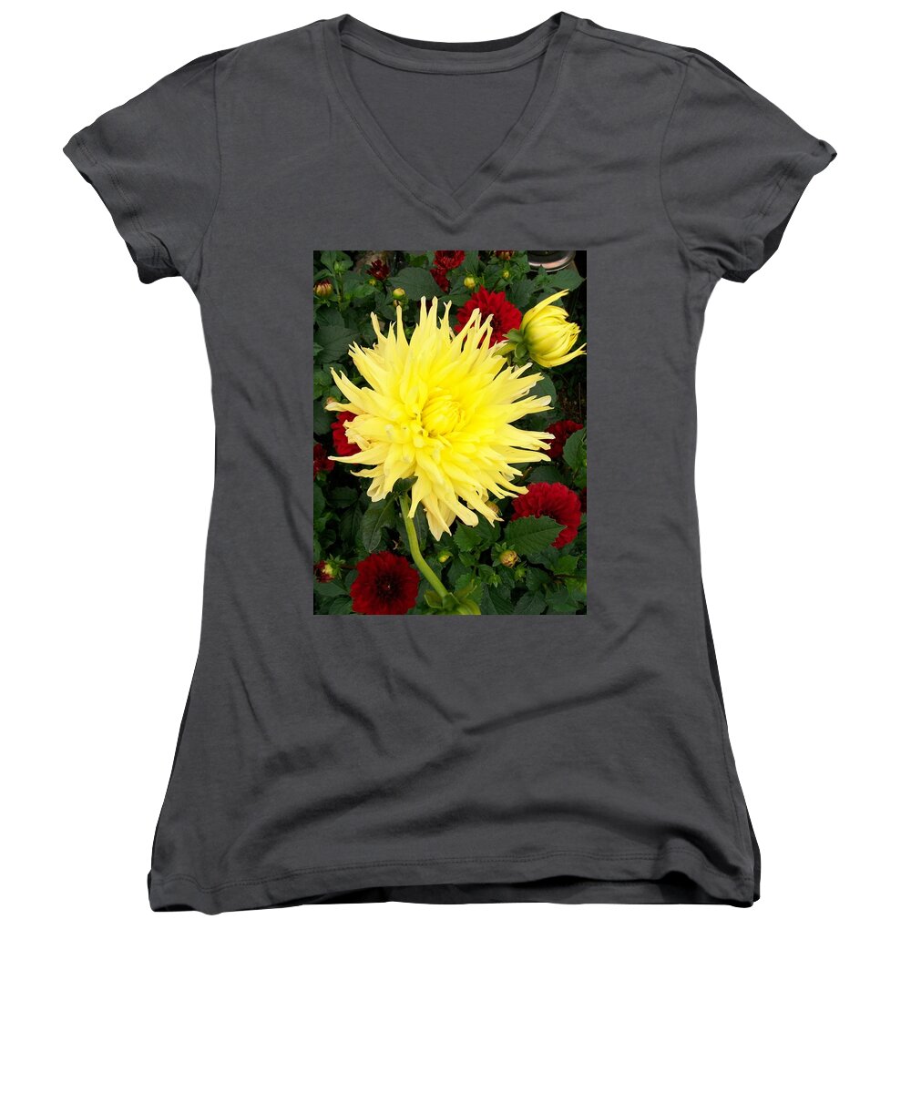 Bright Women's V-Neck featuring the photograph Dahlia's by Sharon Duguay