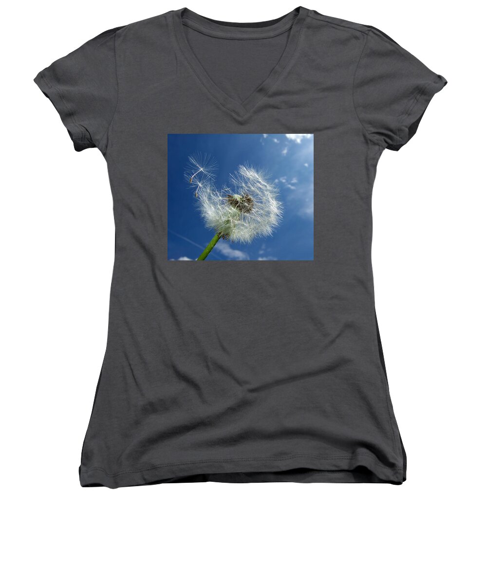 Dandelion Women's V-Neck featuring the photograph Dandelion and blue sky by Matthias Hauser