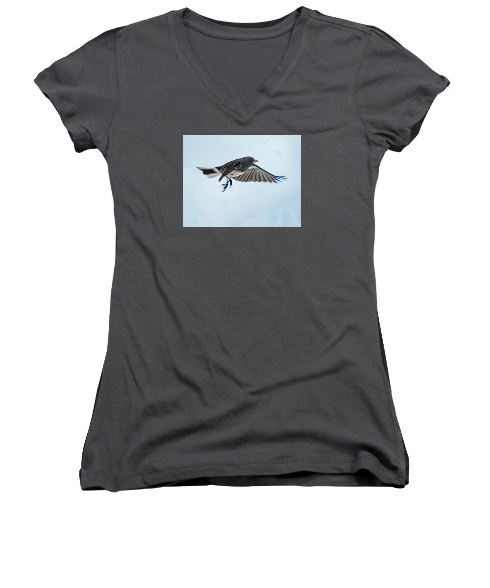 Bird Women's V-Neck featuring the photograph Dark-eyed Junco Flying by William Bitman