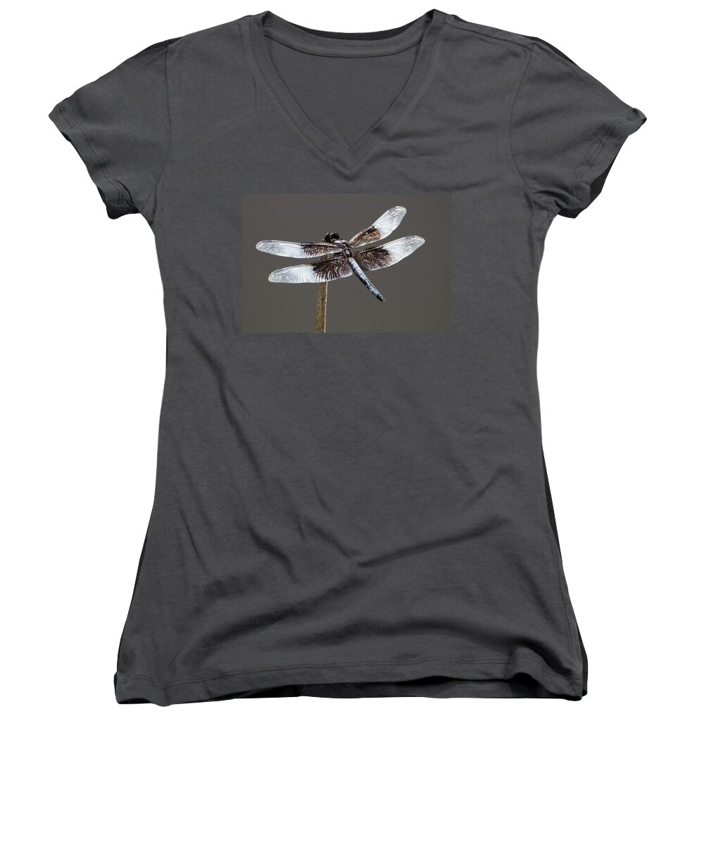 Nature Women's V-Neck featuring the photograph Dazzling Dragonfly by Sheila Brown