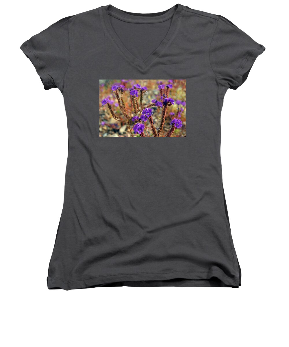 Superbloom 2016 Women's V-Neck featuring the photograph Death Valley Superbloom 106 by Daniel Woodrum