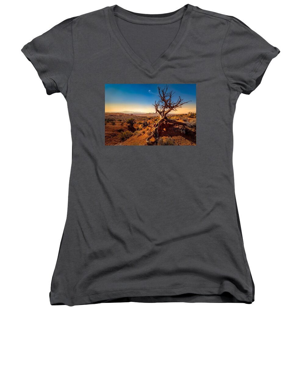 Arches National Park Women's V-Neck featuring the photograph Desert Tree by Dave Koch