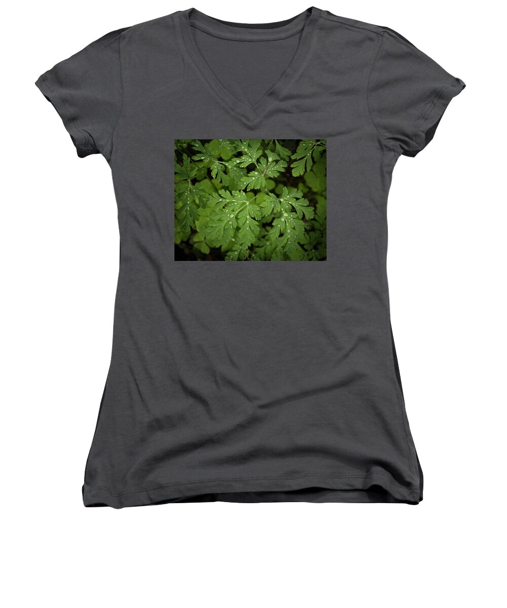 Flora Women's V-Neck featuring the photograph Dewey Leaves by Jon Ares