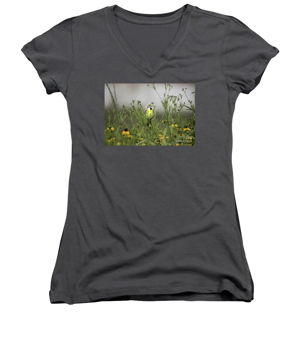Nature Women's V-Neck featuring the photograph Dickcissel With Mexican Hat by Robert Frederick