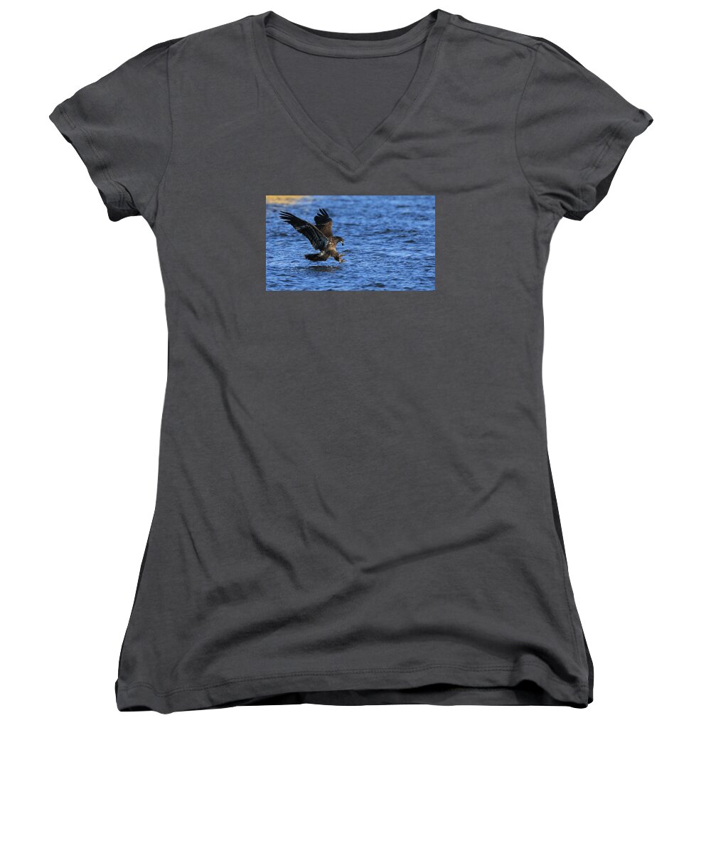 American Bald Eagle Women's V-Neck featuring the photograph Dinner run by Coby Cooper