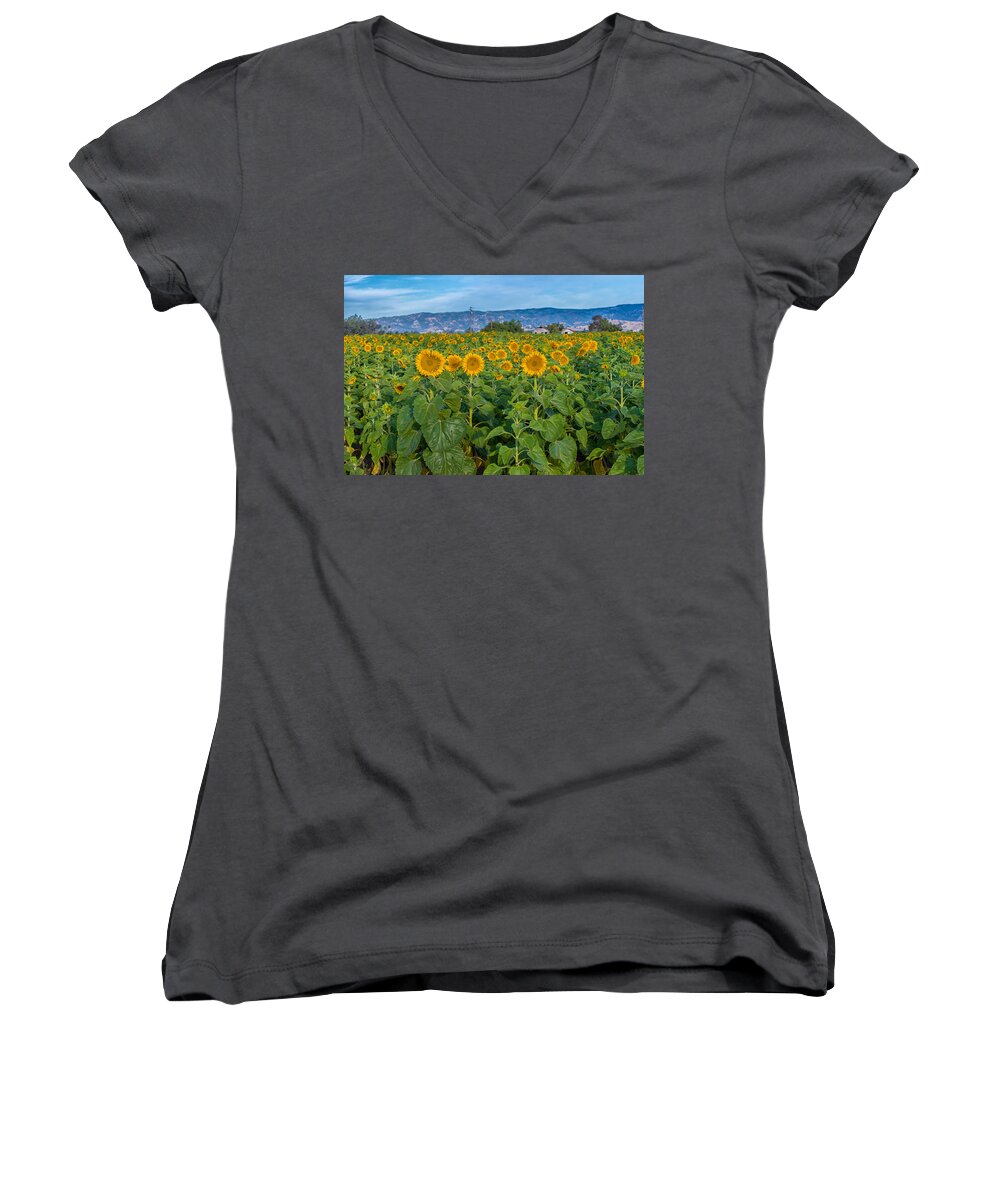 Sunflowers Women's V-Neck featuring the photograph Dixon Sunflowers by Robin Mayoff