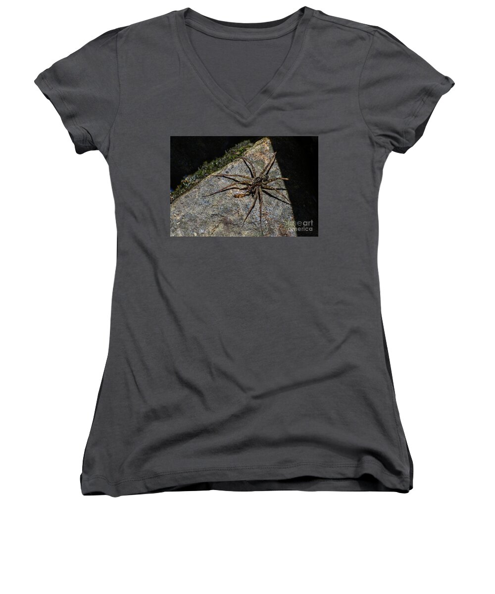 Spiny Women's V-Neck featuring the photograph Dock Spider by Les Palenik