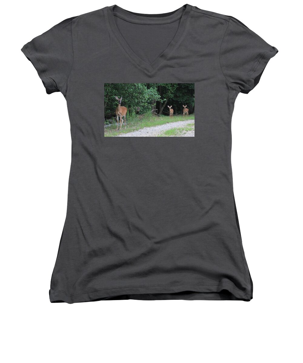 Deer Doe Twin Fawn Women's V-Neck featuring the photograph Doe With Twins by Jerry Battle