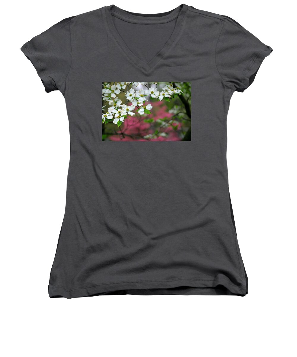 Dogwood Women's V-Neck featuring the photograph Dogwood Days by Living Color Photography Lorraine Lynch