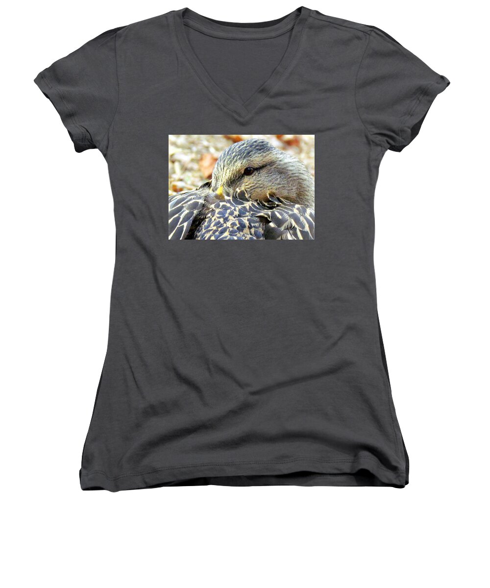 Duck Women's V-Neck featuring the photograph Down Comforter by Lori Lafargue