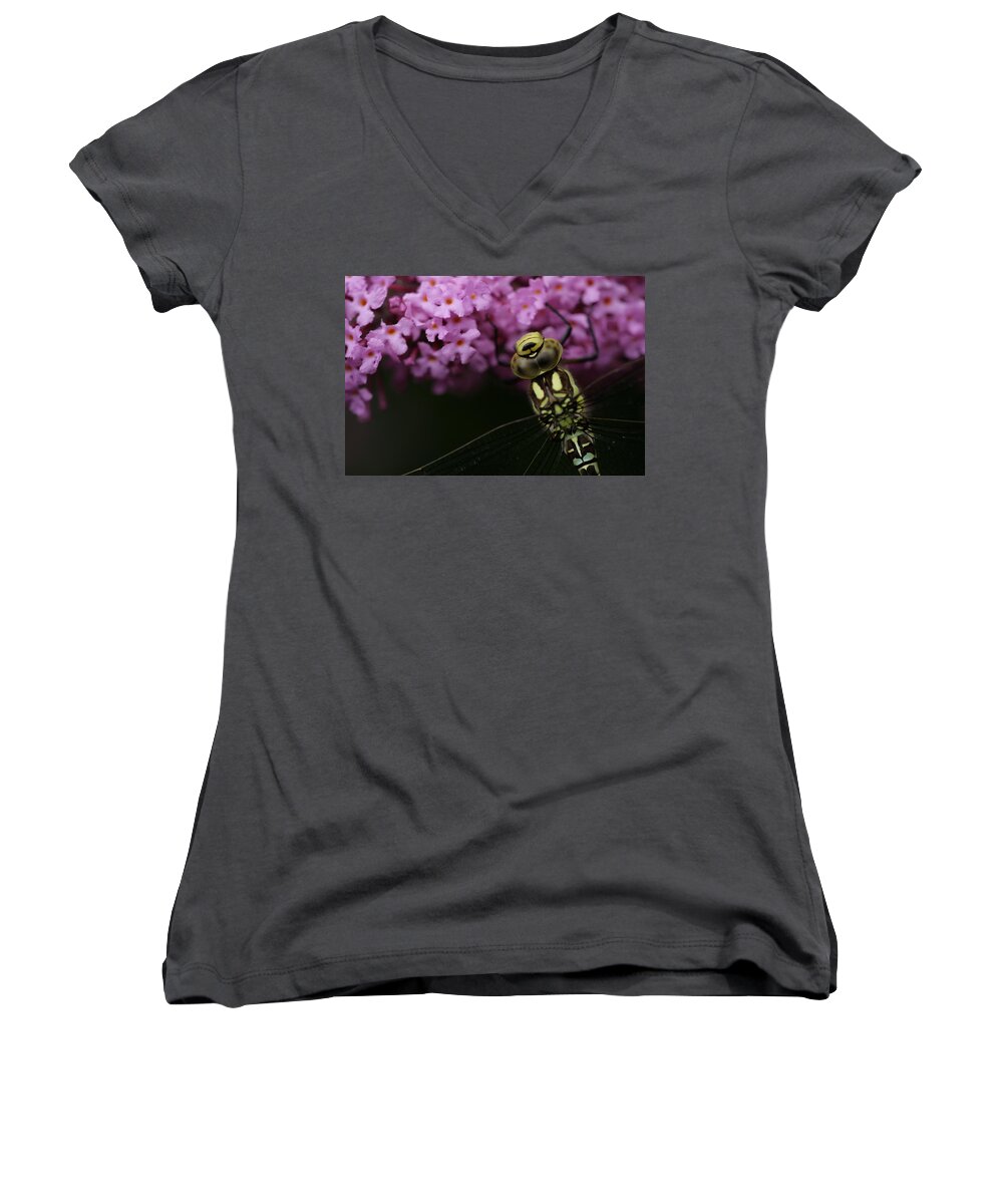 Dragonfly Hawker Purple Yellow Insect Dark Garden Women's V-Neck featuring the photograph Dragonfly by Ian Sanders