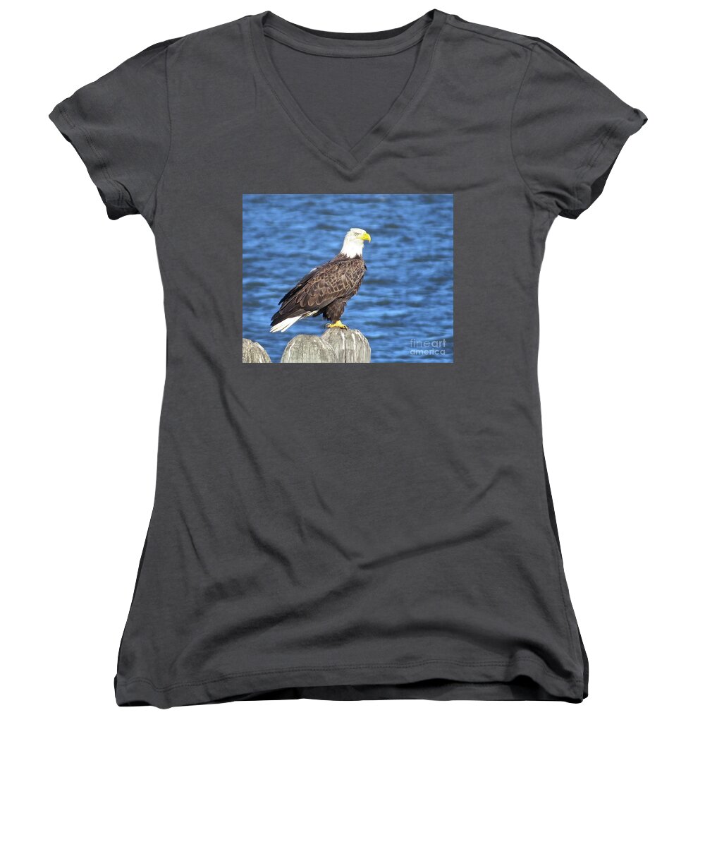 Eagle Women's V-Neck featuring the photograph Eagle at East Point by Nancy Patterson