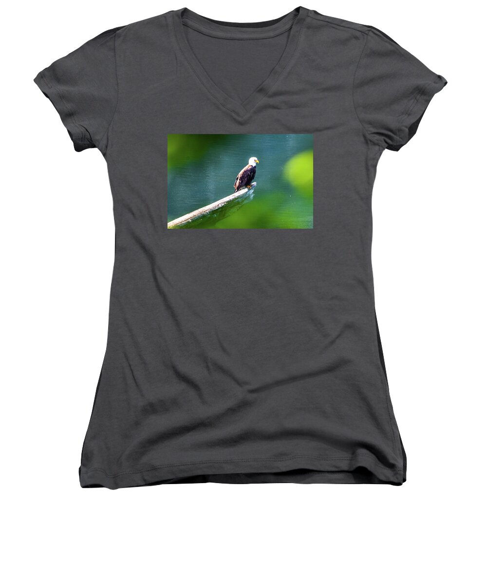 Eagle Women's V-Neck featuring the photograph Eagle in Lake by Chuck Brown