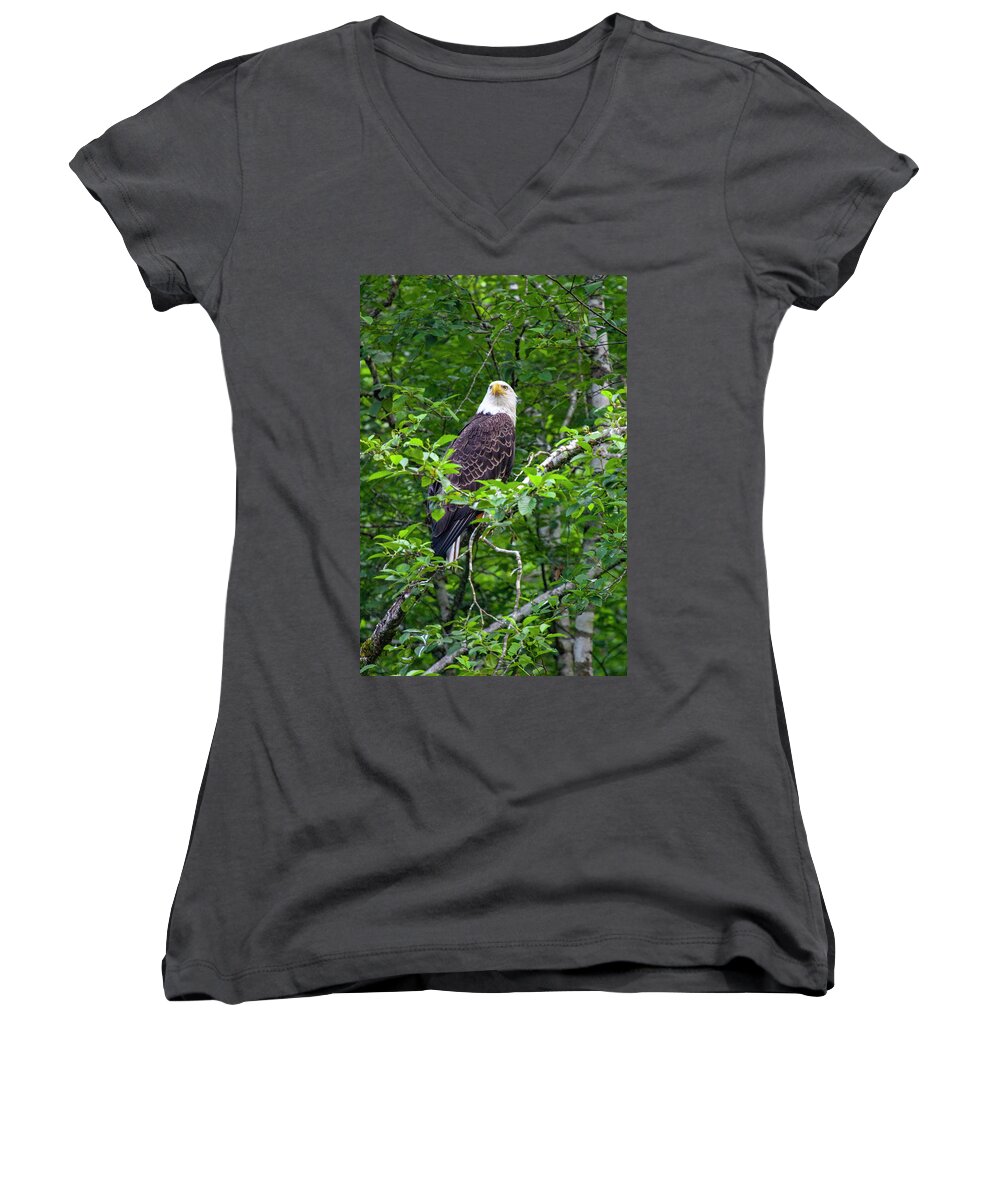Eagle Women's V-Neck featuring the photograph Eagle in Tree by Anthony Jones