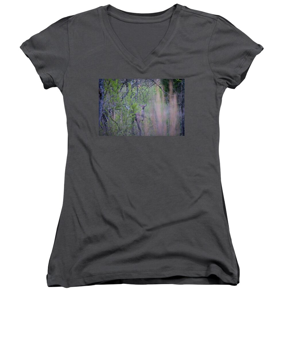 Wildlife Women's V-Neck featuring the photograph Early Morning Deer by John Benedict