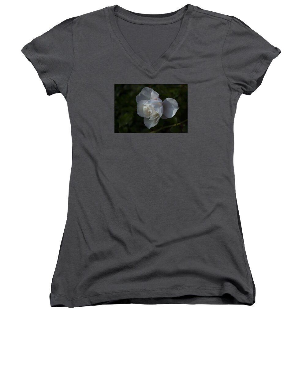  Women's V-Neck featuring the photograph Early morning rose by Dan Hefle