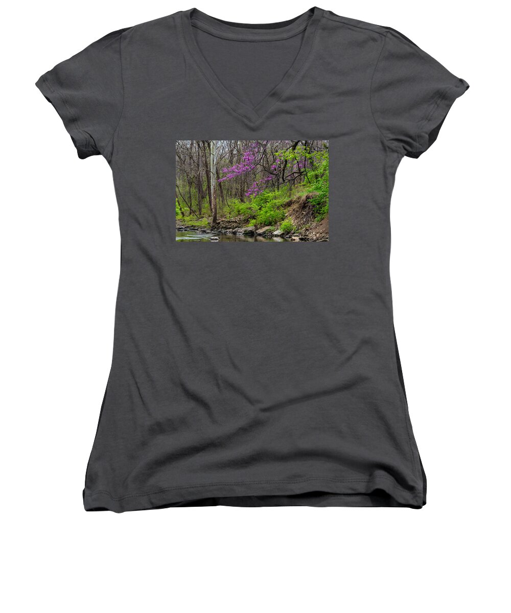 Nature Women's V-Neck featuring the photograph Early Spring on Mill Creek 2 by Jeff Phillippi