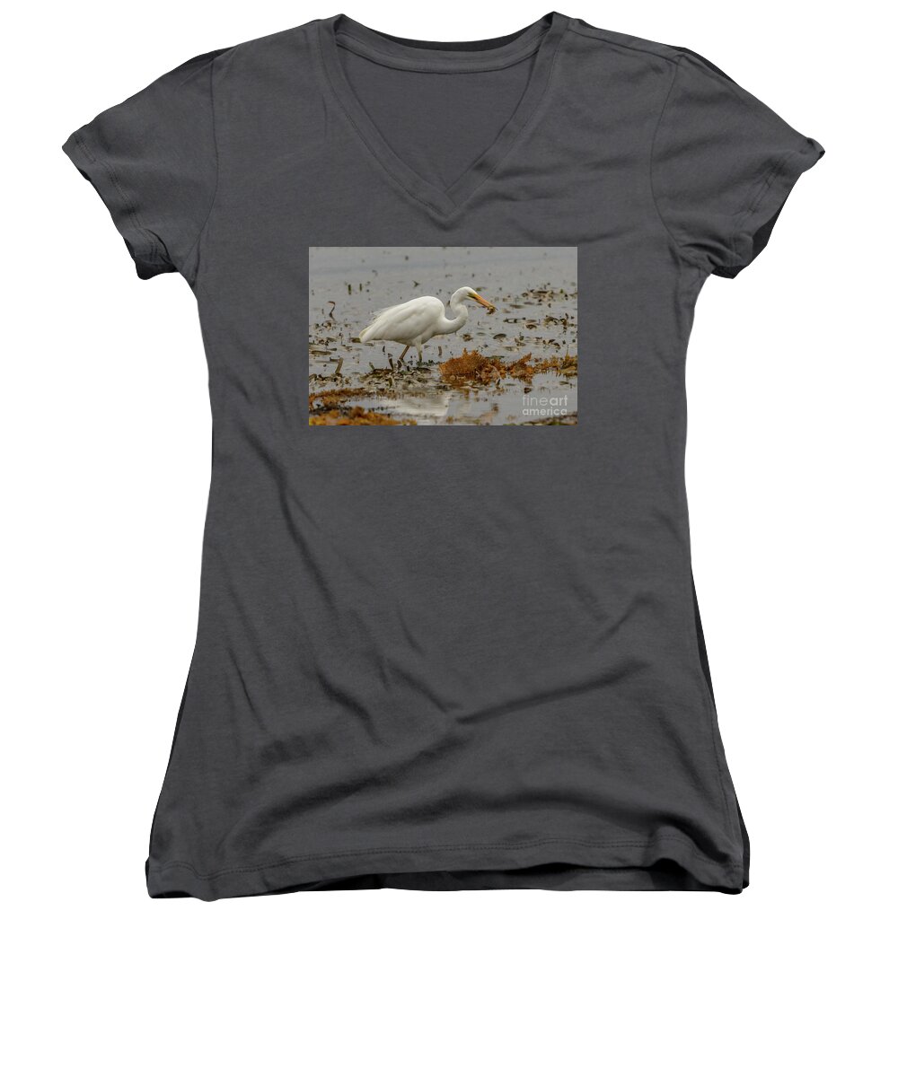 Nature Women's V-Neck featuring the photograph Eastern Great Egret 10 by Werner Padarin