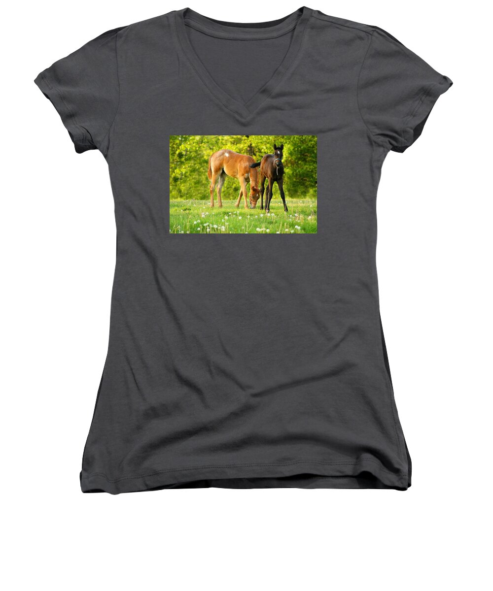 Pasture Women's V-Neck featuring the photograph Easy Pickins by Angela Rath