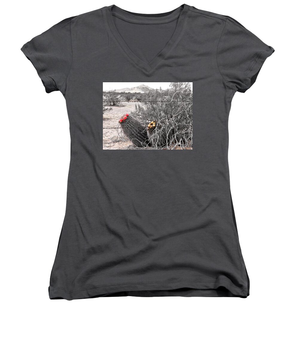 Arizona Women's V-Neck featuring the photograph Ebullience by Judy Kennedy