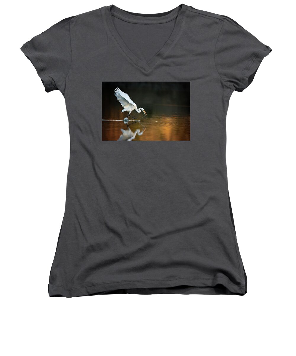 Egret Women's V-Neck featuring the photograph Egret at Sunset by Eilish Palmer