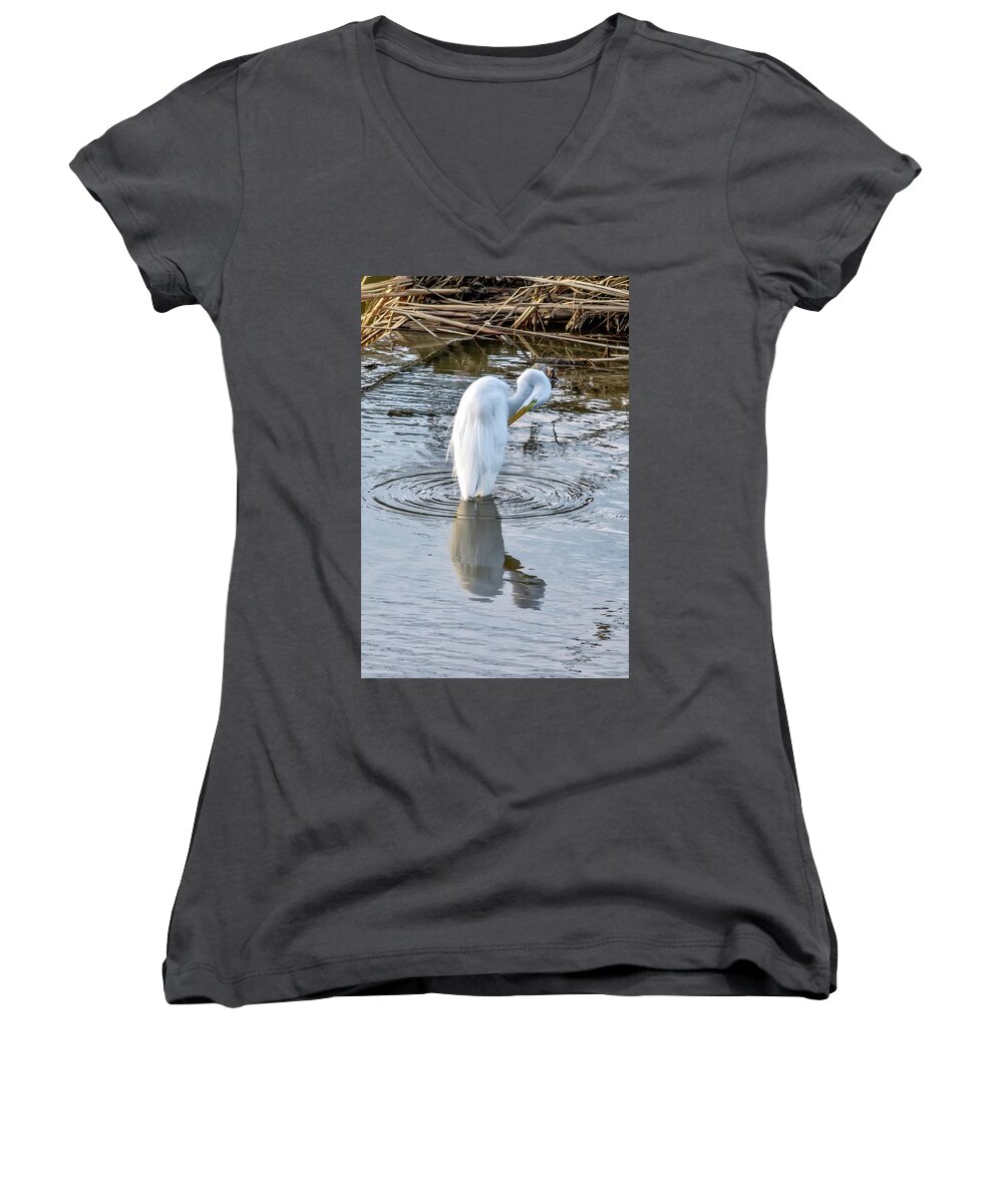 Egret Women's V-Neck featuring the photograph Egret Standing in a Stream Preening by Anthony Murphy
