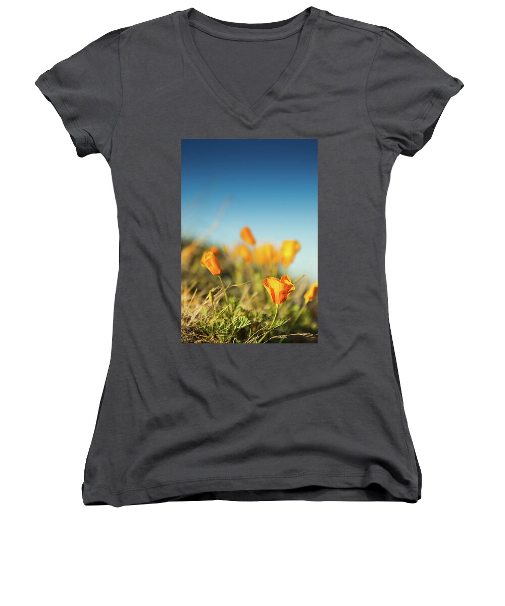 California Poppy Women's V-Neck featuring the photograph El Paso Poppies by SR Green