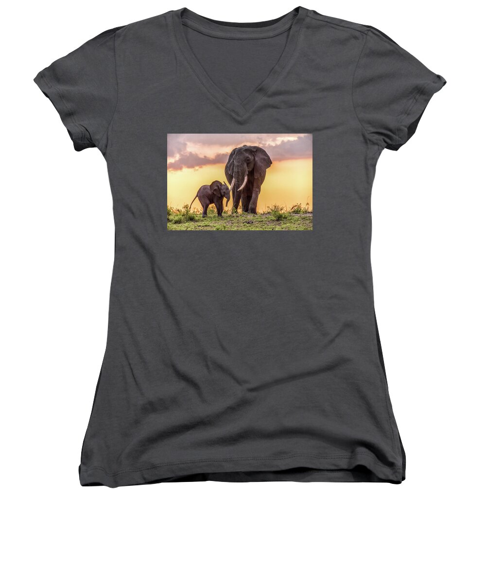 Elephants Women's V-Neck featuring the photograph Elephants at Sunset by Janis Knight