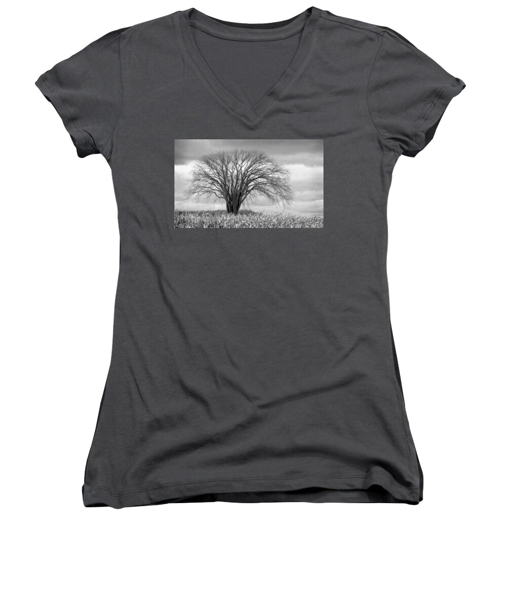 Elm Women's V-Neck featuring the photograph Elm Fortress by Jill Love