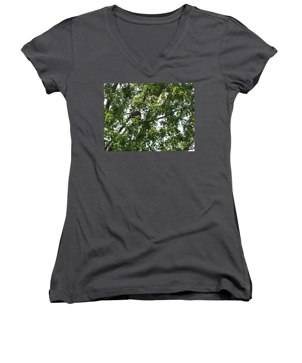 Eagle Women's V-Neck featuring the photograph Face the Eagle by Donald C Morgan