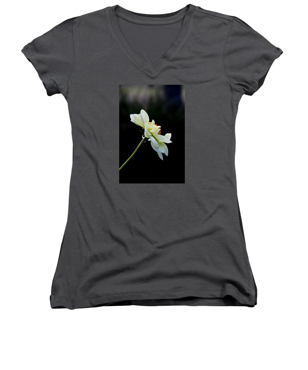 White Women's V-Neck featuring the photograph Facing Away by Nancy Dinsmore