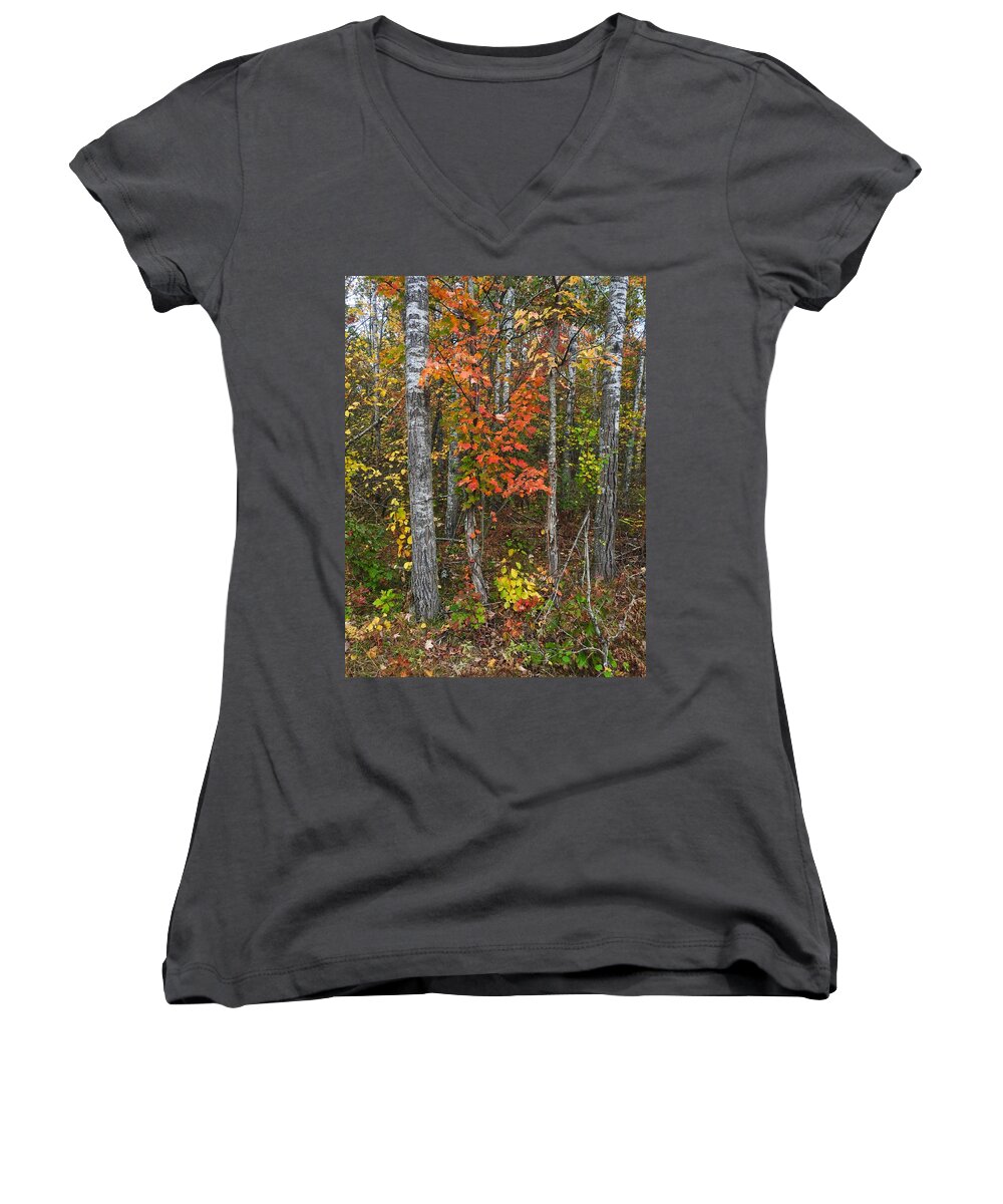 Fall Women's V-Neck featuring the photograph Fall Color at Gladwin 4543 by Wesley Elsberry
