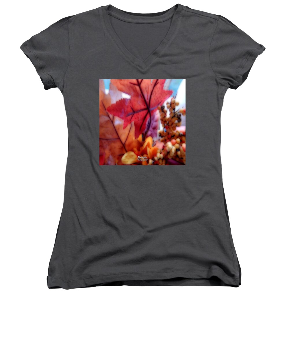 Art Women's V-Neck featuring the photograph Fall Colors # 6059 by Barbara Tristan