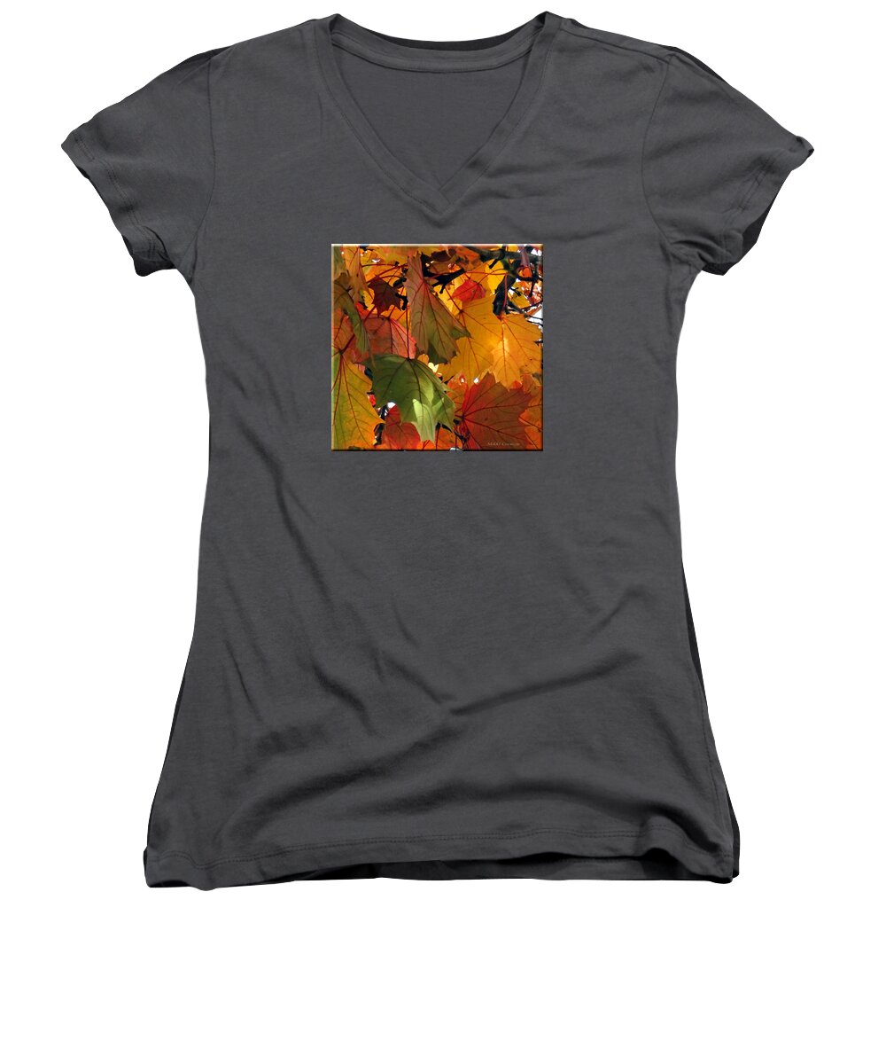 Tree Women's V-Neck featuring the photograph Fall Leaves by Mikki Cucuzzo