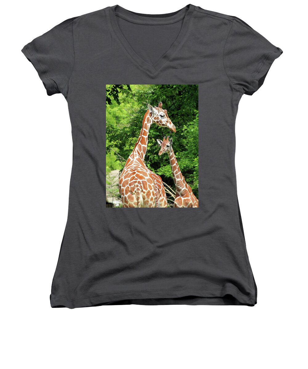 Giraffe Women's V-Neck featuring the photograph Family by Jackson Pearson