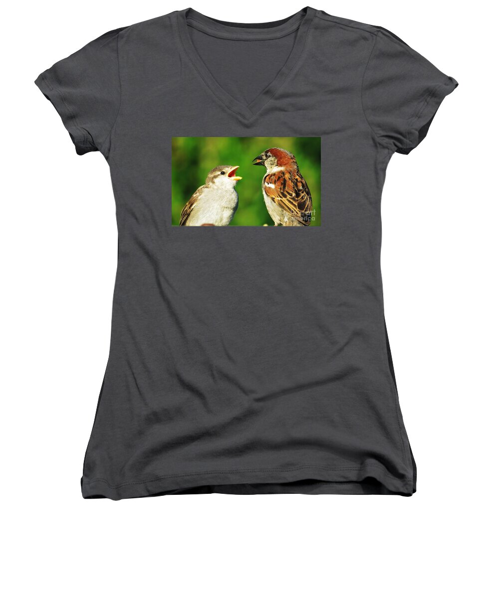 Sparrows Women's V-Neck featuring the photograph Feeding Baby Sparrows 2 by Judy Via-Wolff