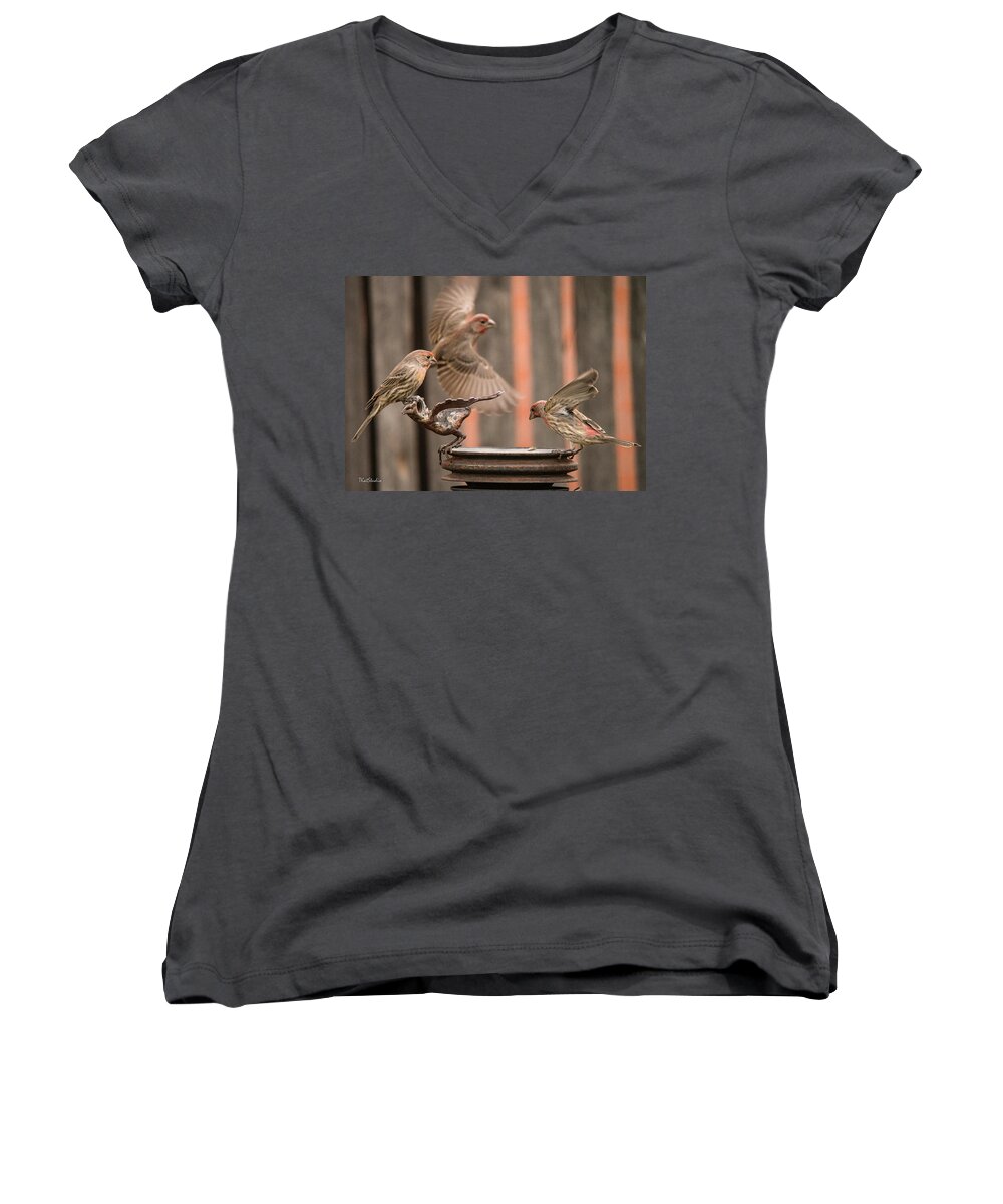 Male House Finches Women's V-Neck featuring the photograph Feeding Finches by Tim Kathka
