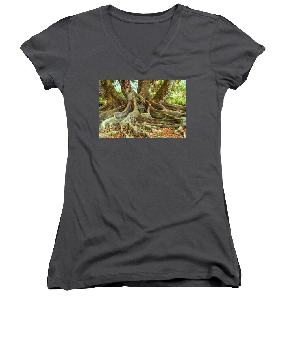 Roots Women's V-Neck featuring the photograph Ficus Roots by Rosalie Scanlon