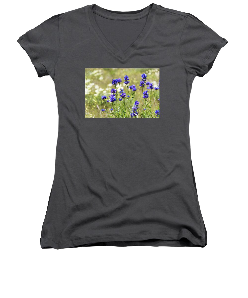 Field Of Dreams Women's V-Neck featuring the photograph Field of Dreams by Chad Dutson