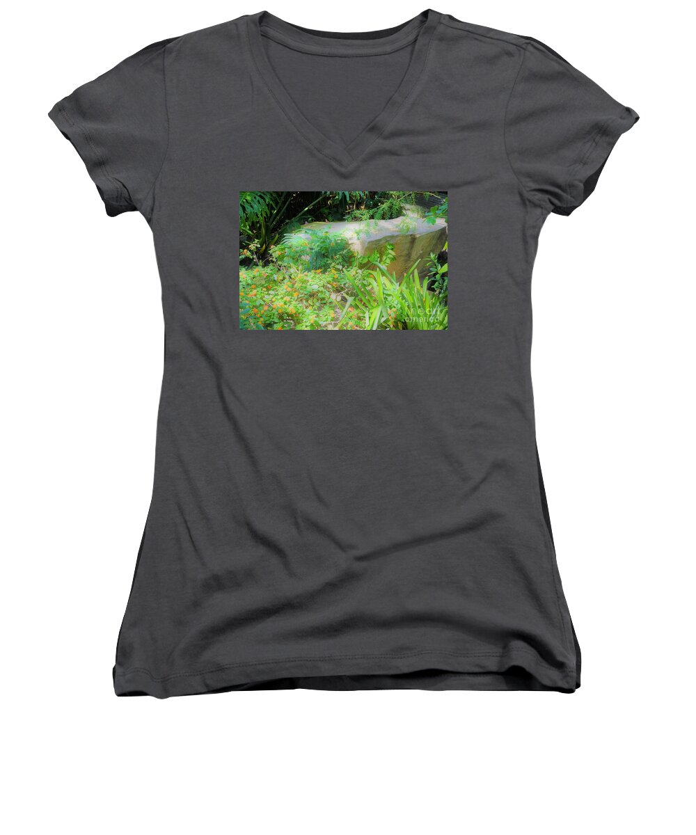 Cleveland Ohio Women's V-Neck featuring the photograph Find em, Count em by Merle Grenz