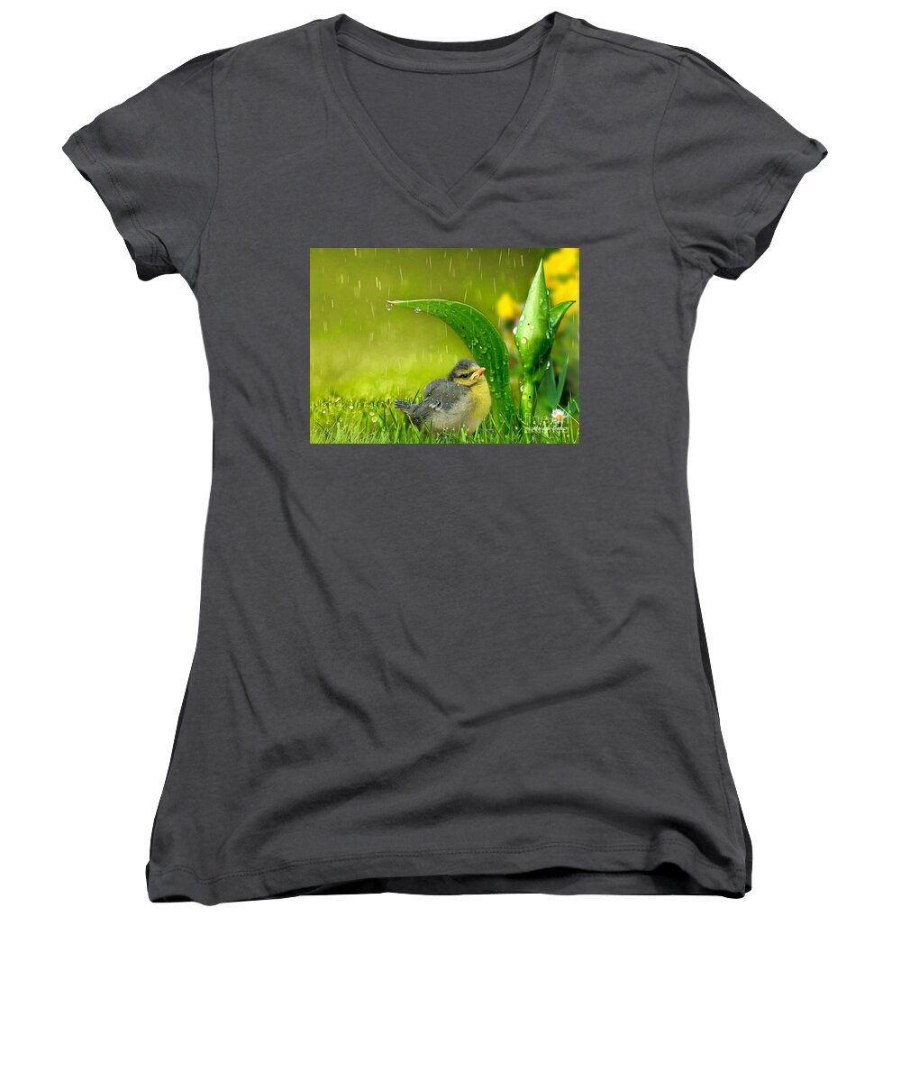 Baby Bird Women's V-Neck featuring the mixed media Finding Shelter by Morag Bates