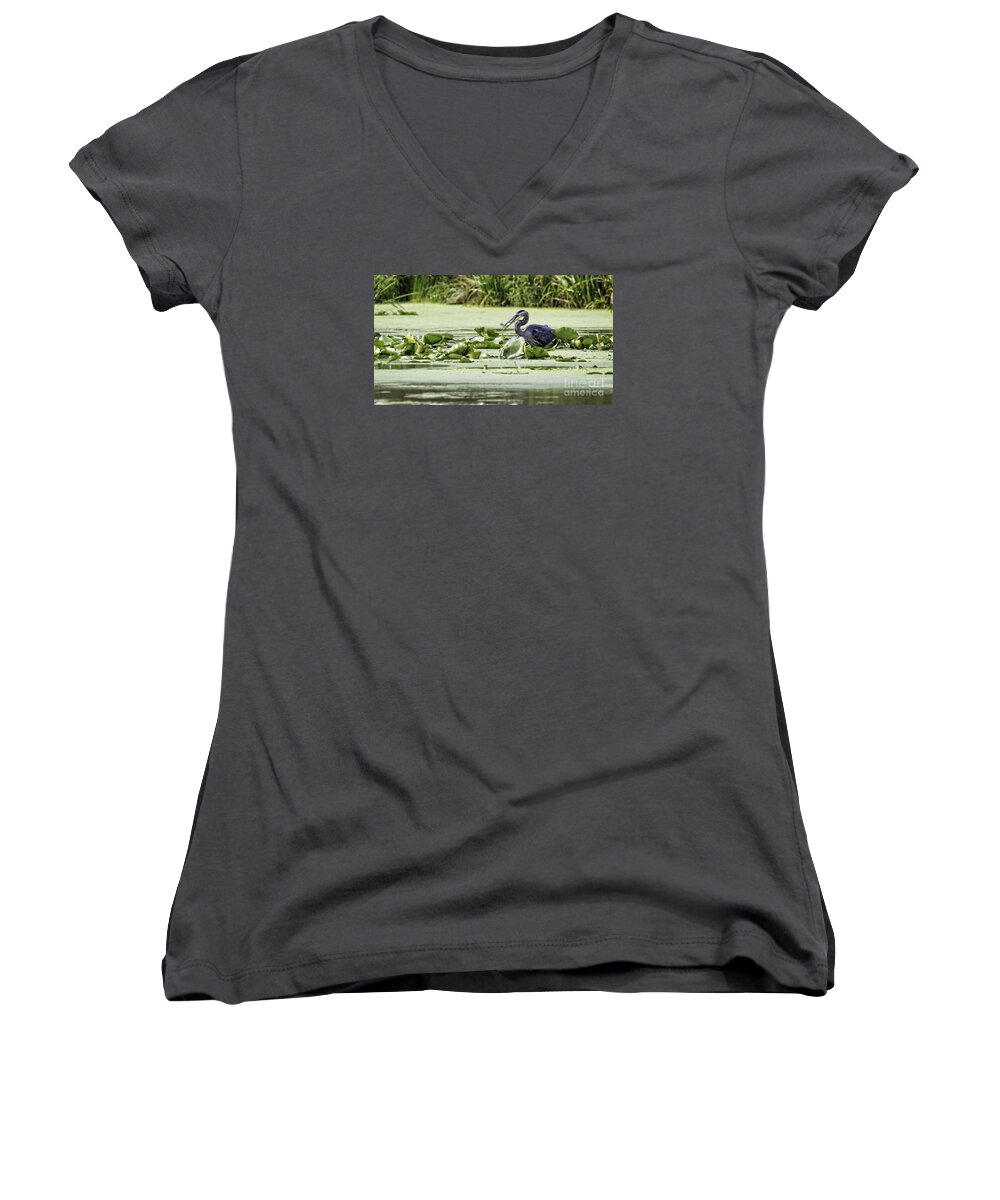 Great Blue Heron Women's V-Neck featuring the photograph Fishing by Jan Killian