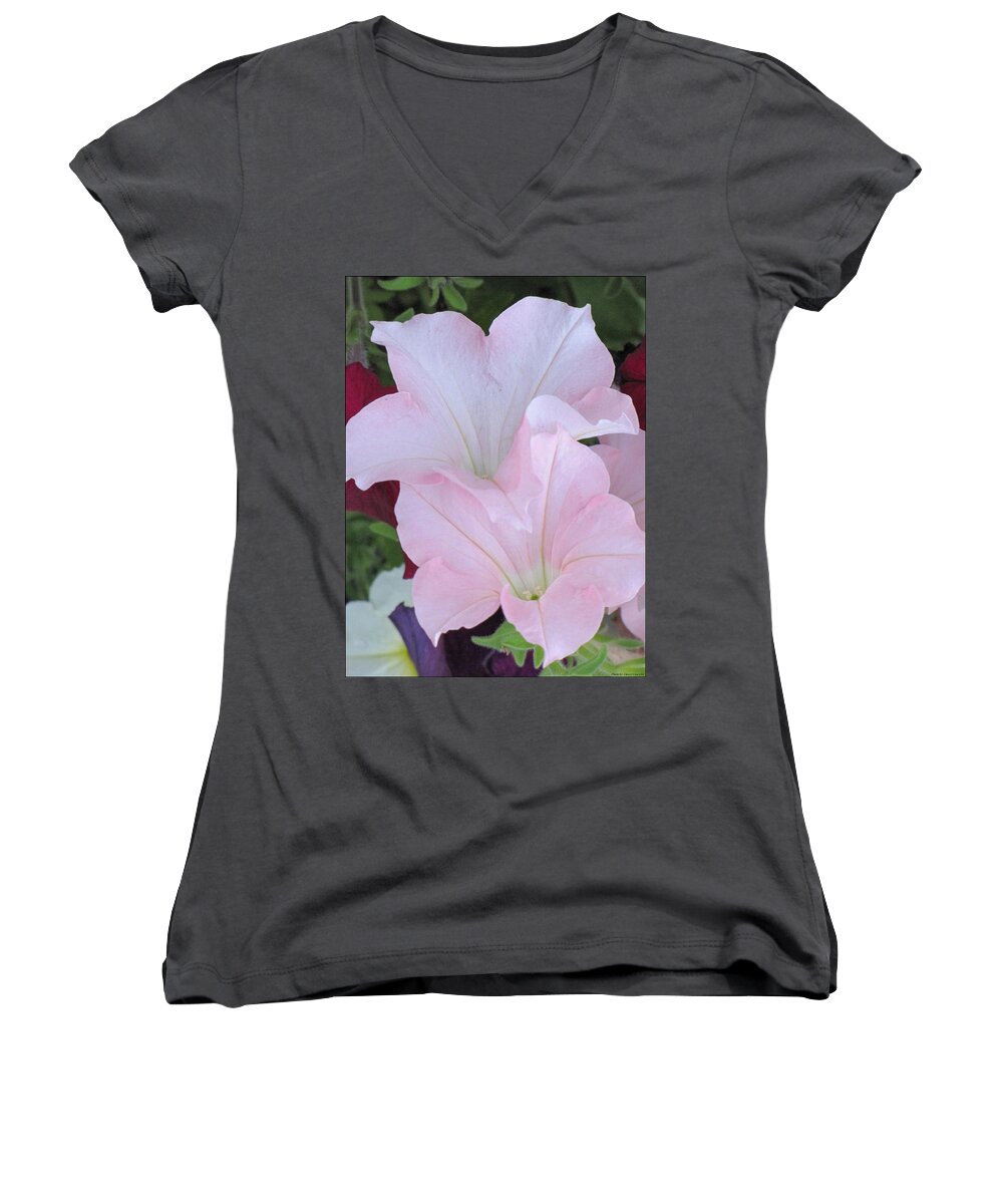 Flowers Women's V-Neck featuring the photograph Flair by Cheryl Charette