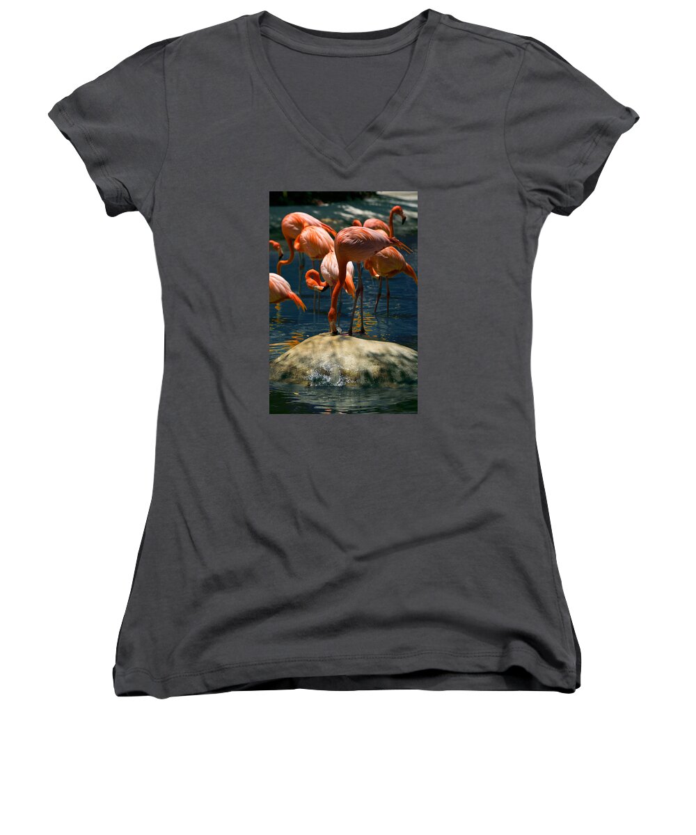 Lawrence Women's V-Neck featuring the photograph Flamingo Fountain by Lawrence Boothby