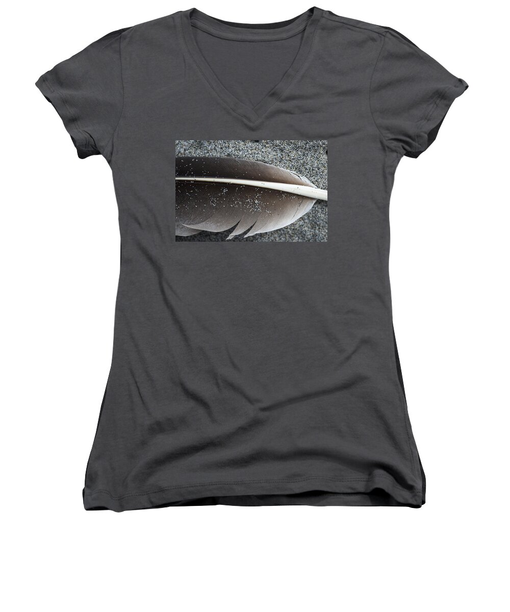 Feather Women's V-Neck featuring the photograph Flight Feather by Robert Potts
