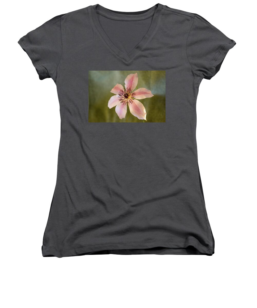 Clematis Women's V-Neck featuring the photograph Floating Clematis Blossom by Douglas Barnett
